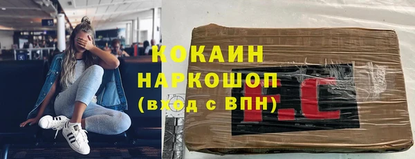 мдпв Богданович