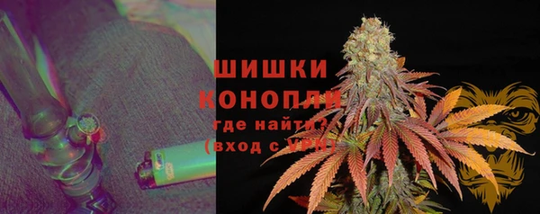 ПСИЛОЦИБИНОВЫЕ ГРИБЫ Богородск
