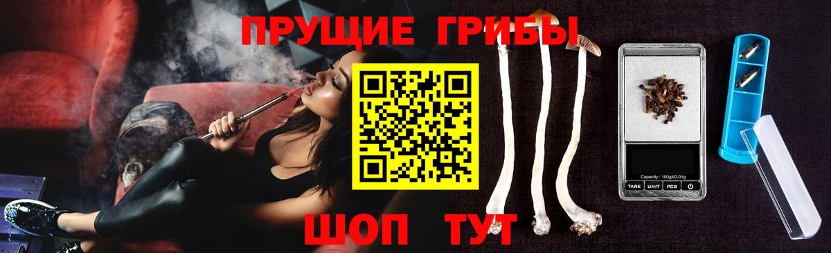 Сердобск  Псилоцибиновые грибы Psilocybe  Вход с VPN 